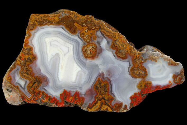 Colorful, Polished Agate End Cut - Kerrouchen, Morocco #181278